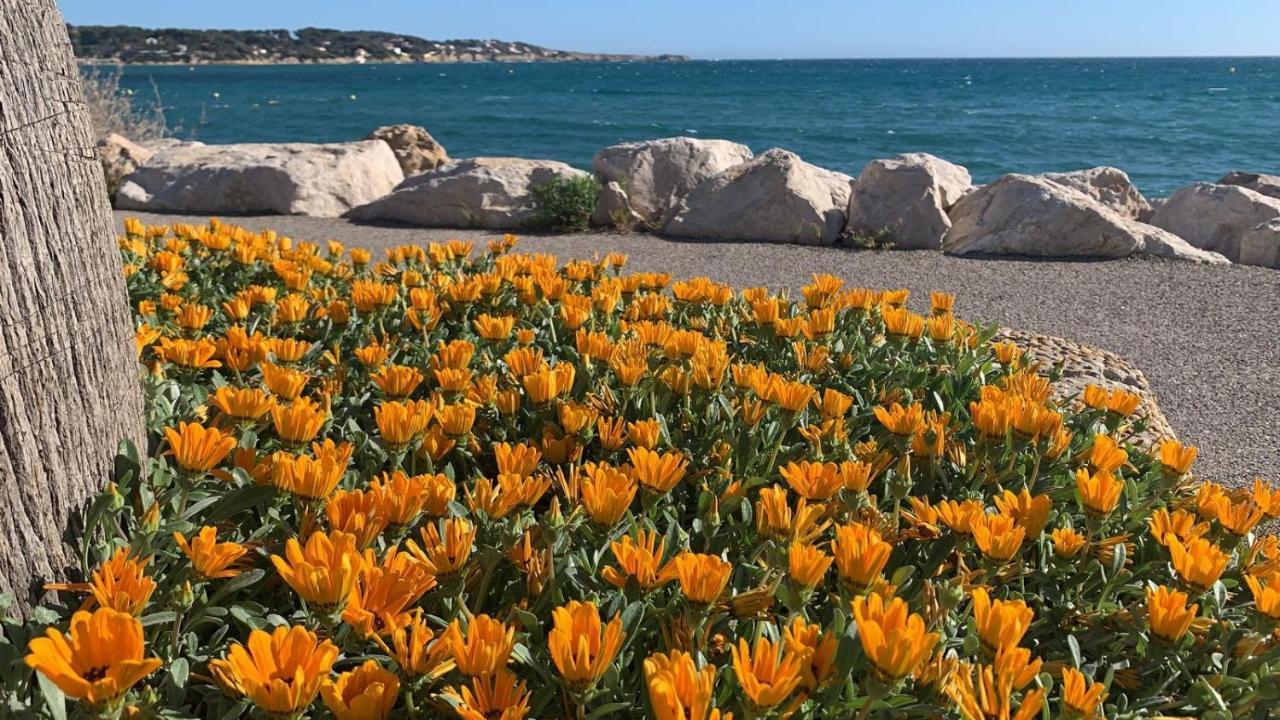 Les Appartements De La Marina Sanary-sur-Mer Eksteriør bilde
