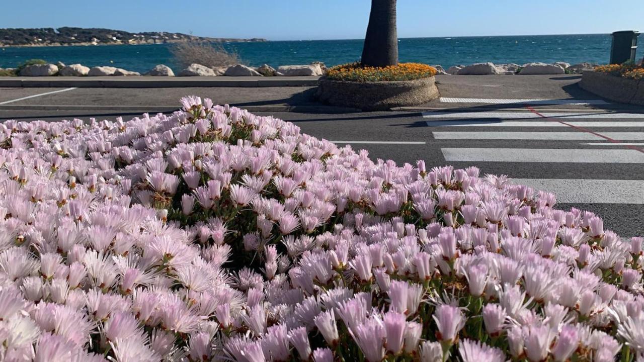 Les Appartements De La Marina Sanary-sur-Mer Eksteriør bilde